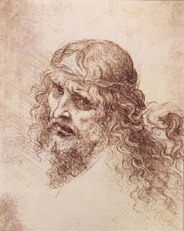LEONARDO da Vinci Head and shoulders Christs oil painting picture